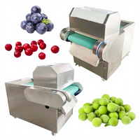 Ligne de traitement de fruits secs surgelés multifonction Machine à piquer les aiguilles pour les baies surgelées