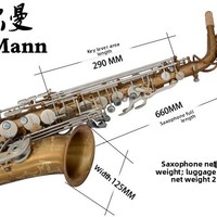 Earl Mann Illman Professional Brass Alto Saxophone with Electrophoretic Gold Finish