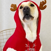Manteau d'hiver pour chien personnalisé de haute qualité, en coton, pliable, motif animal mignon, pour grands chiots, vêtements de Noël