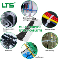 Attaches-câbles en nylon 4,8*100, attaches autobloquantes robustes, attaches-câbles en plastique durables pour l'organisation de la maison, du bureau et du garage