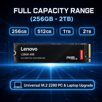 Disque SSD NVMe Lenovo LS800 40E M.2 PCIe Gen4x4 haute vitesse 5300 Mo/s 512 Go 1 To 2 To pour studio de production musicale et hôte DAW