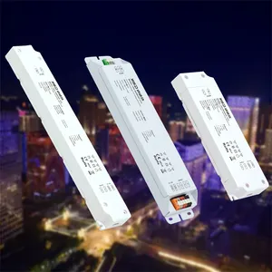 Controlador LED regulable Triac, pequeña fuente de alimentación, montaje de espacio estrecho, 60W, 100W, 200W, 300W, 12V, 24V de CC