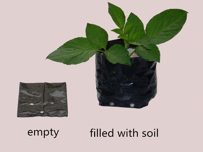 Customizable Black Plastic Flower Pot Outdoor Gallon Pot High Quanlity