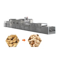 Efficiënte Droger Fruitmachine Industrie Riem Magnetron Droger Fruit En Groente Droger
