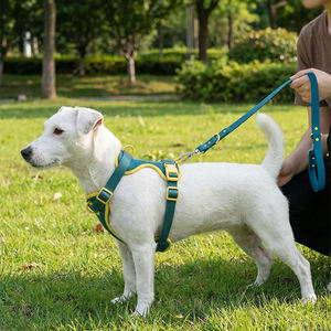 Muker New Design Assorted Colors Pet Collar Leash and <b>Harness</b> Set for <b>Dog</b> Daily walking Accept Customized Color and Logo - Product Image 3