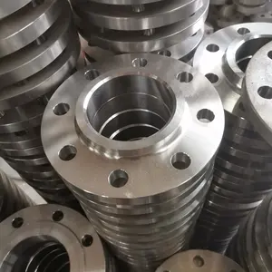 Stainless Steel Flange/stainless Steel Body Flanged