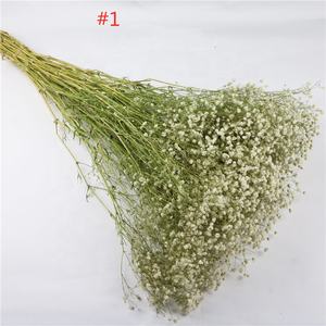 Grossista di fabbrica B-2570 fiori di respiro del bambino conservati fiori di Gypsophila per la casa e la decorazione di nozze - Product Image 1