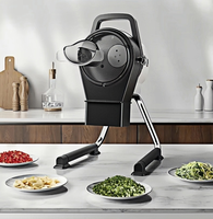 Machine à hacher multifonctionnelle commerciale très vendue pour persil, oignon vert, gingembre, fruits et légumes, électrique