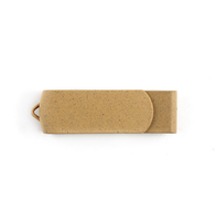 Clé USB en bois de 2 Go avec logo personnalisé, clés USB pivotantes en bois, clés USB de 2 Go