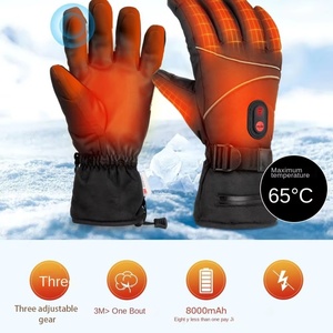 2025 New Electric Thermal Gloves 16000mAh <b>USB</b> Heater Gloves 3M Syntharate 3-Step Touch Panel Highest 65°C Temperature - Product Image 2
