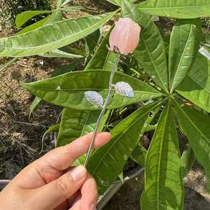 ดอกกุหลาบคริสตัลแกะสลักขนาด 3 ซม. สีเงิน ประดับคริสตัลไอน้ำ หินคริสตัลธรรมชาติบำบัด แกะสลักคริสตัลรูปดอกกุหลาบวาเลนไทน์ - Product Image 6