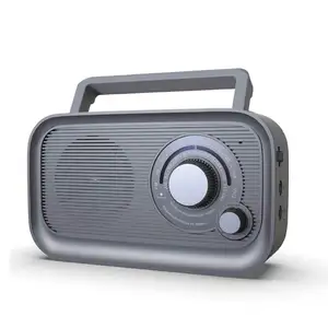 wholesale price 2024 Portable BT Wireless Speaker Battery Operated Ac Power Dsp Plug Am Fm Radio With Best Reception
