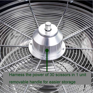 Portable Industrial Grade Motorized Leaf Bowl <strong>Trimmer</strong> Customizable OEM Hydroponic <strong>Bud</strong> <strong>Trimmer</strong> Machines Wet &amp; Dry for Sale - Product Image 5