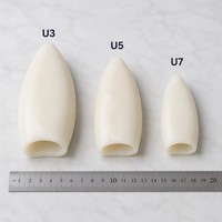 Calamar Congelé IQF Premium, Tubes Nettoyés et Dépelliculés, Todarodes Gigas U3 U5 U7 U10, Fruits de Mer en Gros de Haute Qualité, Origine Chine