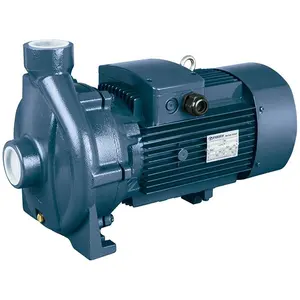 Centrifugal Suction Low Pressure Electric Single Stage Water Pump