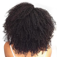 Pince à cheveux bruts en cheveux humains 100% 4B4C Afro Kinky Curly Clip Ins Extensions de cheveux vierges brésiliens