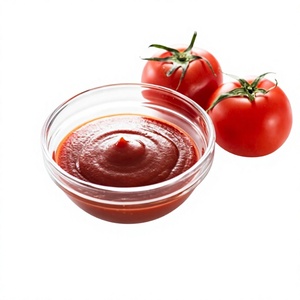 Salsa de tomate de fábrica de Vietnam de calidad superior a precio competitivo, producto personalizado - Product Image 1