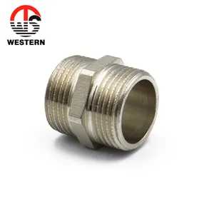 Brass High Quality Forged Sanitary Pipe Fitting NPT Chrome Plated Polishing Adapter