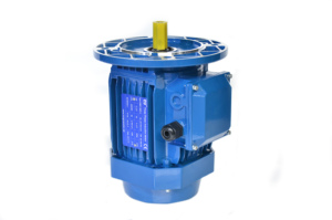 Moteur AC triphasé standard OEM 220V/380V 11KW 3000RPM à induction IP54/IP55 avec boîtier en fonte - Product Image 1