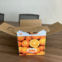 Boîte de fruits ondulés imprimée de logo personnalisé en gros boîte d'emballage en papier carton poubelle à fruits en papier