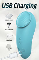 Fernbedienbare Vibrations-Slips Klitoris-Stimulierende Unterwäsche Damen-Sexspielzeug Starker Magnet IPX7 Wasserdicht 9 Frequenzen USB