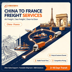 Chine vers France, Colis Aérien, Colis Maritime, DDP avec Dédouanement Double, Livraison Porte-à-Porte - Product Image 1