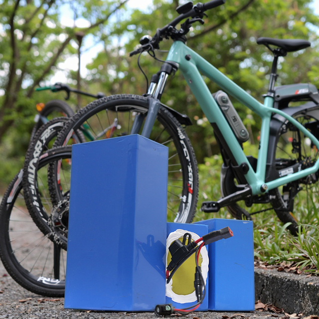 High Capacity 48V 30Ah Lithium Battery Pack with 40A BMS Charger for Electric Bike E-bike