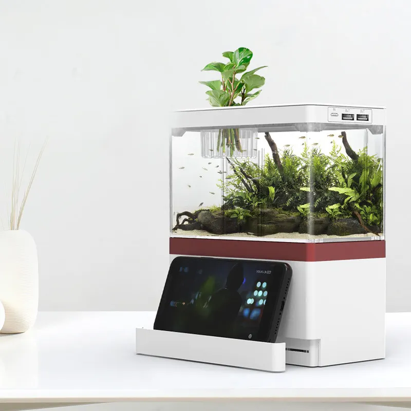 Mini Desktop Aquarium Transparante Usb/Batterij Aangedreven Aquarium Met Led Licht