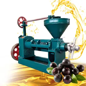 Prensa automática profissional de óleo de palmiste para uso doméstico, preço de fábrica para produção de óleo de gergelim e soja
