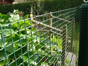 Clôture de jardin en PVC <span class=keywords><strong>pour</strong></span> chien, jouet artisanal, g, fil torsadé, couleur verte, fil de fer, vente en gros - Product Image 6