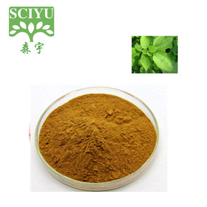 Extrait de Cohosh noir de qualité alimentaire <span class=keywords><strong>Wellgreen</strong></span> à bas prix, additif alimentaire pour plantes, extrait en poudre par extraction par solvant, plante entière sous vide - Product Image 1