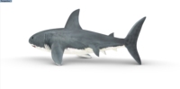 Logo personnalisé annonçant des requins gonflables de décoration extérieure de vente chaude gonflable