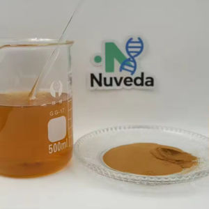 ผงสมุนไพรธรรมชาติสกัดจากราก10:1ชิกโครี - Product Image 4