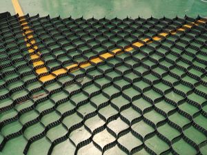 Nhựa <span class=keywords><strong>PP</strong></span> <span class=keywords><strong>Geocell</strong></span> Trái Đất Lưu Giữ Cấu Trúc Mịn/Đục Lỗ <span class=keywords><strong>Geocell</strong></span> Cho Dốc Dốc Giữ Lại Tường - Product Image 6