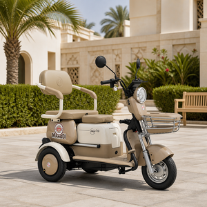 SumE Scooter Eléctrico Plegable de Tres Ruedas de 800W a Prueba de Agua para Adultos con Caja de Carga, Batería de Litio, Capacidad de Carga de 180 kg - Product Image 1