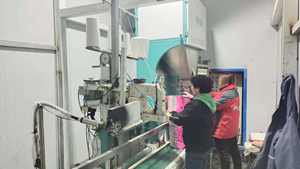 Chino NO GMO Escoba amarilla Maíz Mijo Alimentación para pájaros Mijo amarillo - Product Image 5