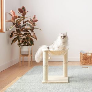 Torre <span class=keywords><strong>de</strong></span> Felpa <span class=keywords><strong>para</strong></span> <span class=keywords><strong>Gatos</strong></span> al por Mayor con Cama Hamaca y Poste Rascador <span class=keywords><strong>para</strong></span> <span class=keywords><strong>Gatos</strong></span> <span class=keywords><strong>de</strong></span> Interior, Fácil <span class=keywords><strong>de</strong></span> Montar, Bola Colgante Interactiva - Product Image 6