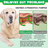 Friandises Comprimées Prébios et Probiotiques Nutritionnelles Marque Privée OEM pour Chiens, Santé Intestinale, Peau, Pelage, Allergies et Immunité