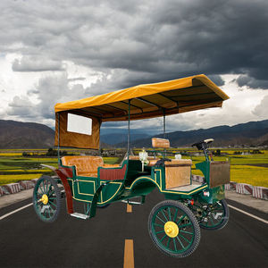 รถม้าไฟฟ้าแบบราชวงศ์สำหรับบริการขนส่งชมวิวพิเศษ - Product Image 3