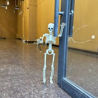 Décorations d'Halloween 2024 : Squelette Animé Haute Qualité avec Articulations Mobiles pour Fêtes et Maisons Hantées