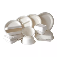 Boîte à lunch biodégradable écologique pâte à emporter canne à sucre bagasse assiette en papier et bol conteneur pour l'emballage des aliments