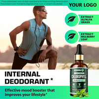 Gouttes liquides de chlorophylle pour la digestion, la santé intestinale, l'énergie, la détoxification, le soutien immunitaire, végétalien, 2 oz, saveur menthe poivrée, adultes, femmes enceintes