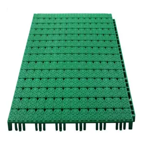 Dernier matériau TSES Tapis de sol emboîtable amovible et imperméable pour court de tennis extérieur