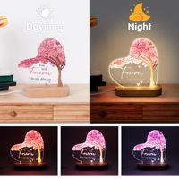 Nachtlampjes cadeau voor haar, Valentijnscadeaus voor vriend/vriendin