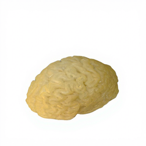 Servicios de Impresión 3D de Prototipos Rápidos de Modelo de Esqueleto de Cráneo para Dispositivos Médicos, Fabricación por SLM, SLS y SLA, de Guangzhou Gaojie-model - Product Image 1