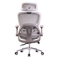 Échantillon Gratuit Chaises de Bureau Incassables avec Support Lombaire en Maille, Logo Personnalisé, Fabricant Chinois OEM