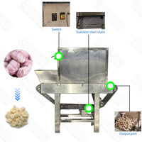 Ligne de production de poudre d'ail déshydratée