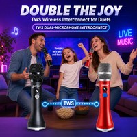 Amplificateur portable pour karaoké, micro sans fil, microphone sans fil professionnel, système de haut-parleurs, haut-parleur karaoké