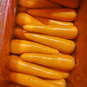 Carottes Fraîches de Qualité Supérieure 150-200g Fournisseur Chinois Vente en Gros Prix Export par Tonne Carotte Gajar Ninjin Danggeun Wortel <span class=keywords><strong>Gezer</strong></span> - Product Image 1