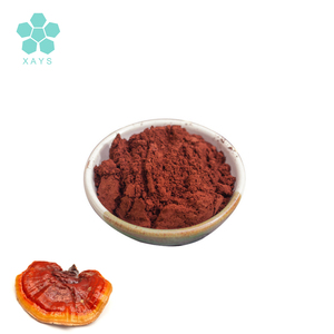 <span class=keywords><strong>Ganoderma</strong></span> <span class=keywords><strong>lucidum</strong></span> nấm vỏ bị hỏng bào tử bột - Product Image 2